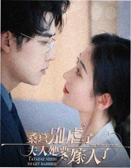 红桃视频免费播放电视剧南风知我意