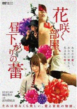 红桃视频电影免费播放导演风格解析